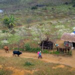 small farm grants