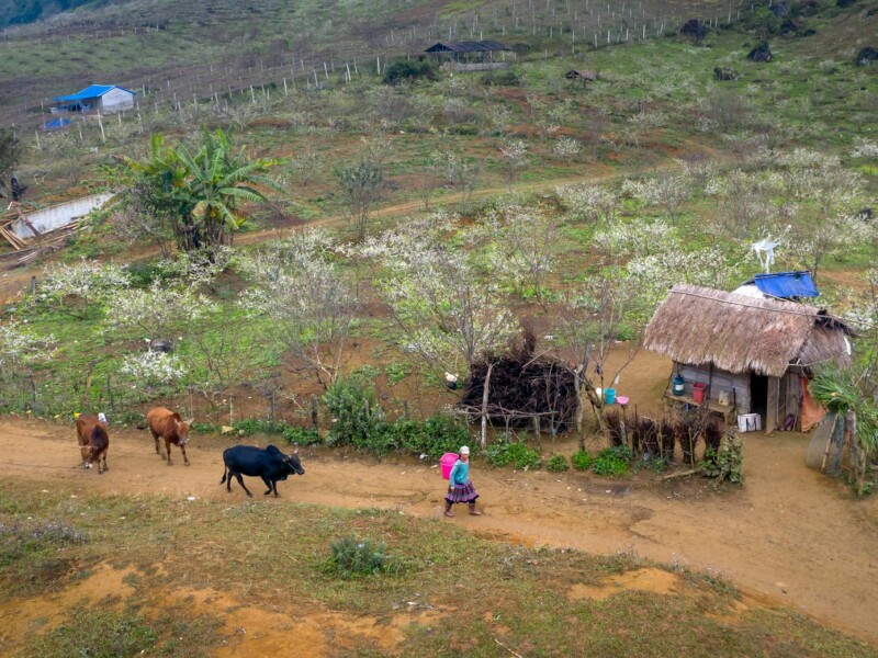 small farm grants