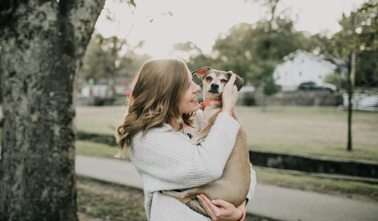 affordable pets