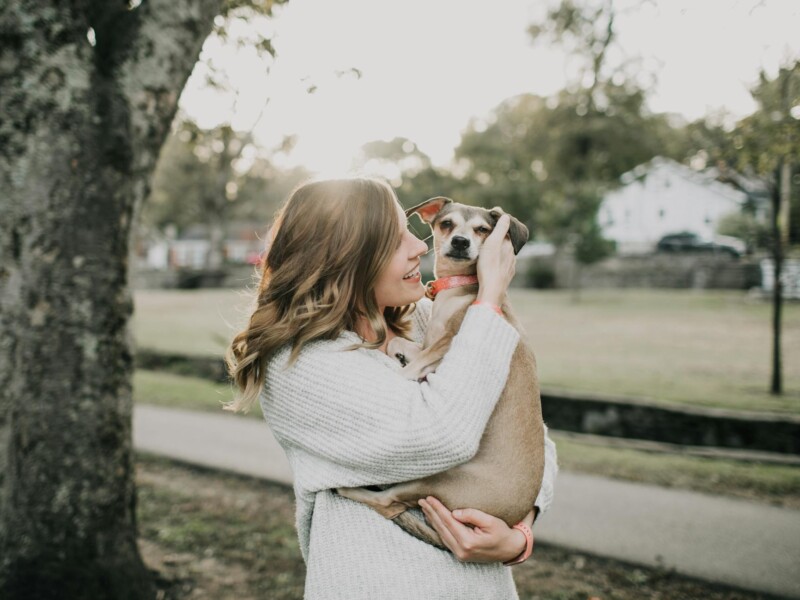 affordable pets