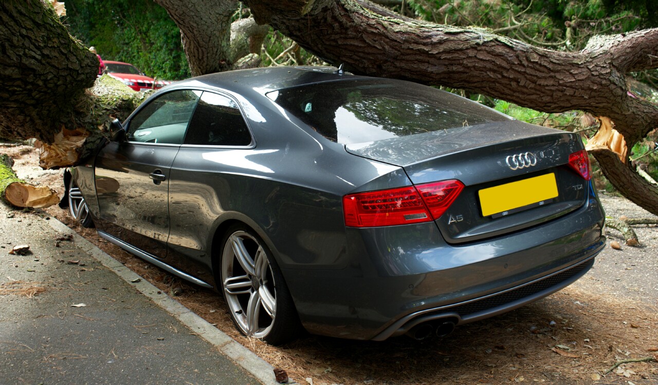Choosing the Right Auto Insurance Company for Your Needs - Verified by FangWallet