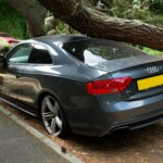 Choosing the Right Auto Insurance Company for Your Needs - Verified by FangWallet