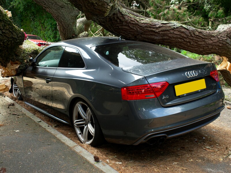 Choosing the Right Auto Insurance Company for Your Needs - Verified by FangWallet