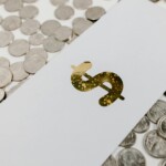 gross or net income