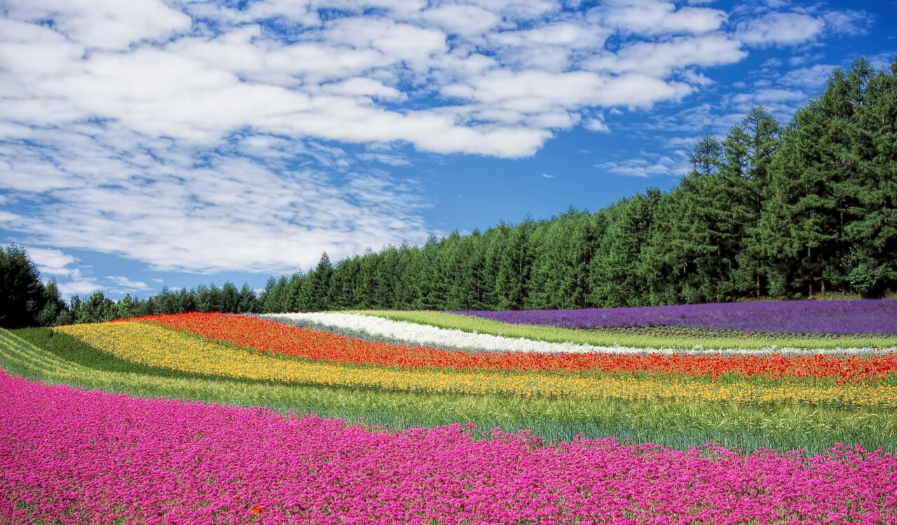landscaping costs
