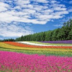 landscaping costs