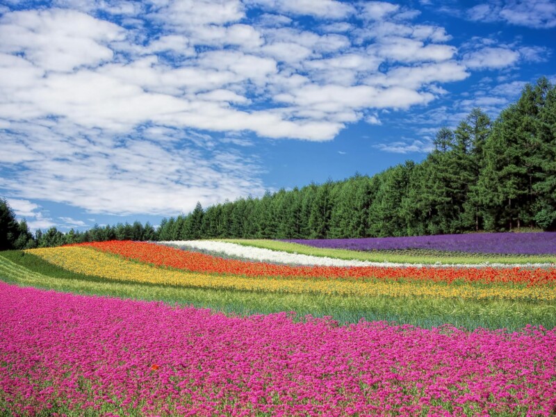 landscaping costs
