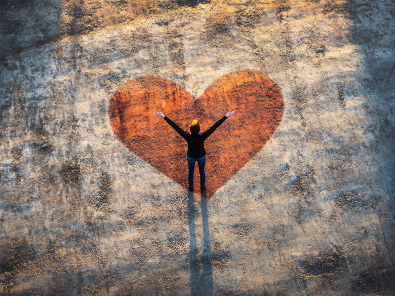 choose a career you love