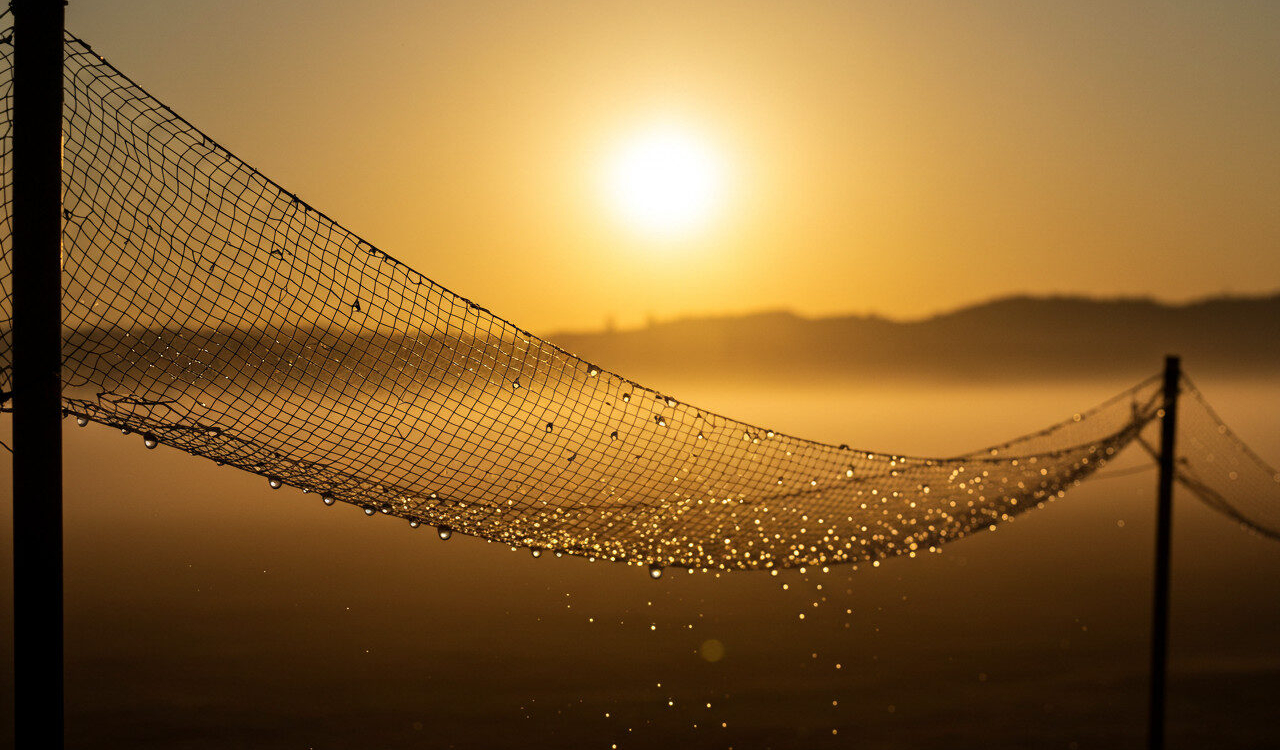 Fog Harvesting: The Smart Fix for Water Shortages - Verified by FangWallet