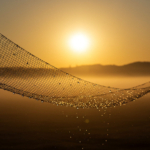Fog Harvesting: The Smart Fix for Water Shortages - Verified by FangWallet