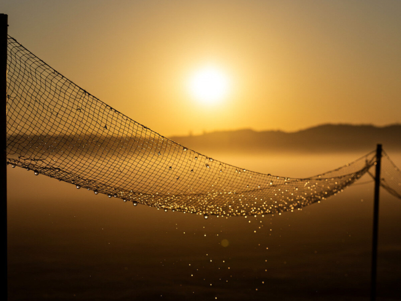 Fog Harvesting: The Smart Fix for Water Shortages - Verified by FangWallet